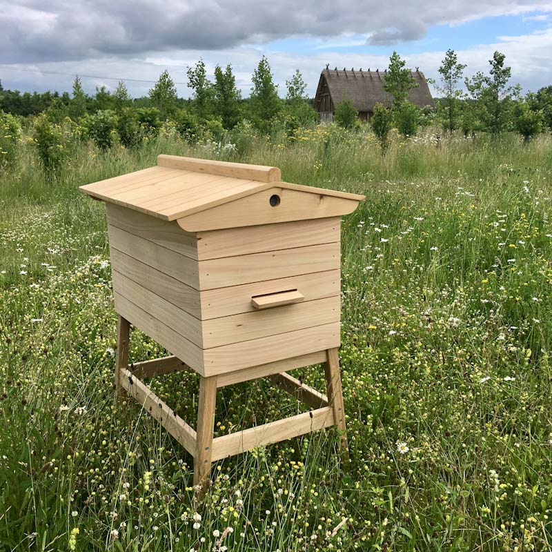 Drayton Hive